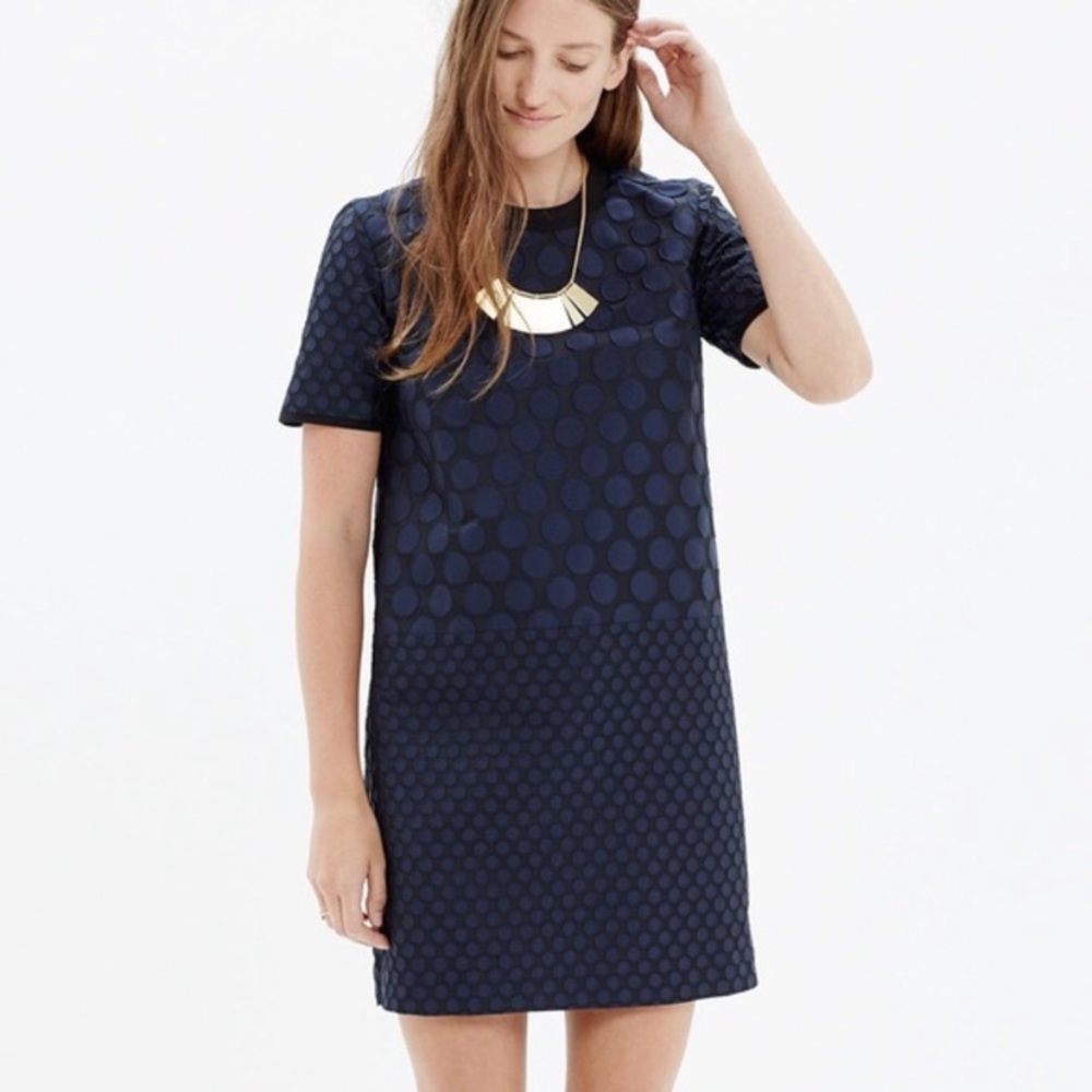 Madewell Navy Polka Dot Mini Dress